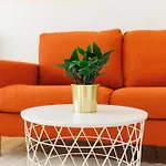 Apartment Fullhouse - Nh14 - 3 Bedrooms, Washing Machine *