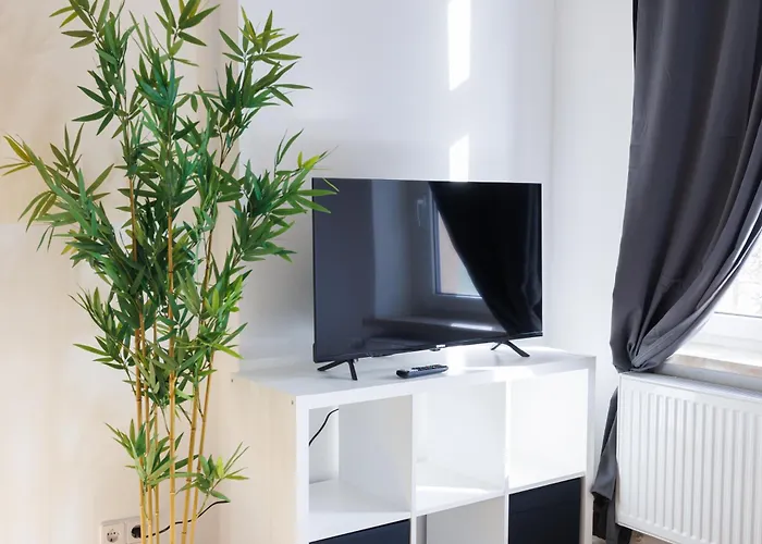 Fullhouse - Nh14 - 3 Bedrooms, Washing Machine 公寓 Halle (Saale)